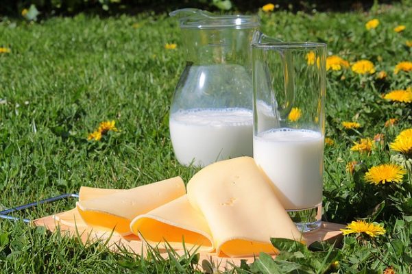 dairy-products-definition-properties-needs-and-more